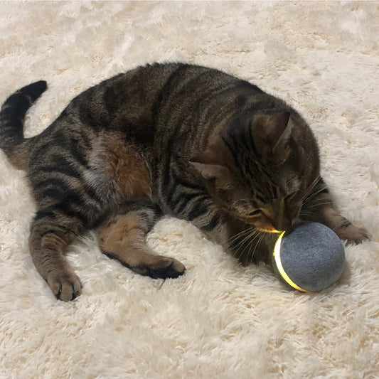 b8e4f85060e7b2e8843b7618e4e70a13