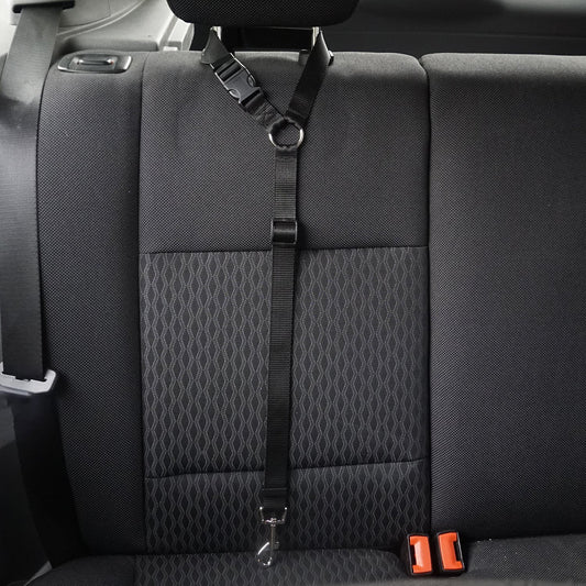 95c08d4e998207975fc73dd9d11cbeb4