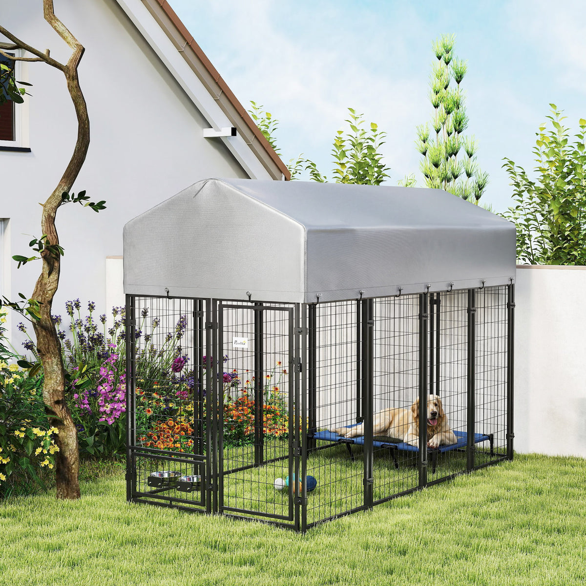 Outdoor Dog Kennel