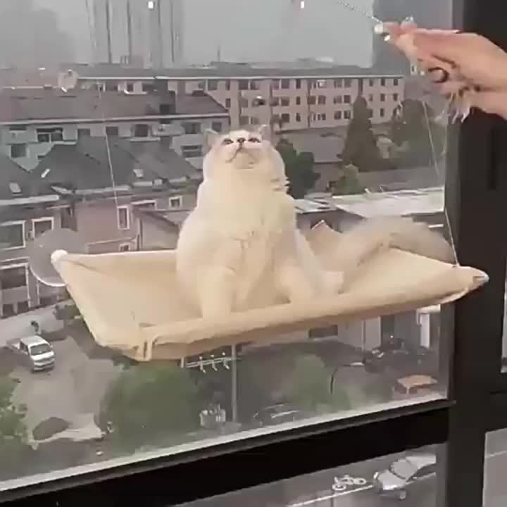Cat Hammock Suction Cup Hanging Nest
