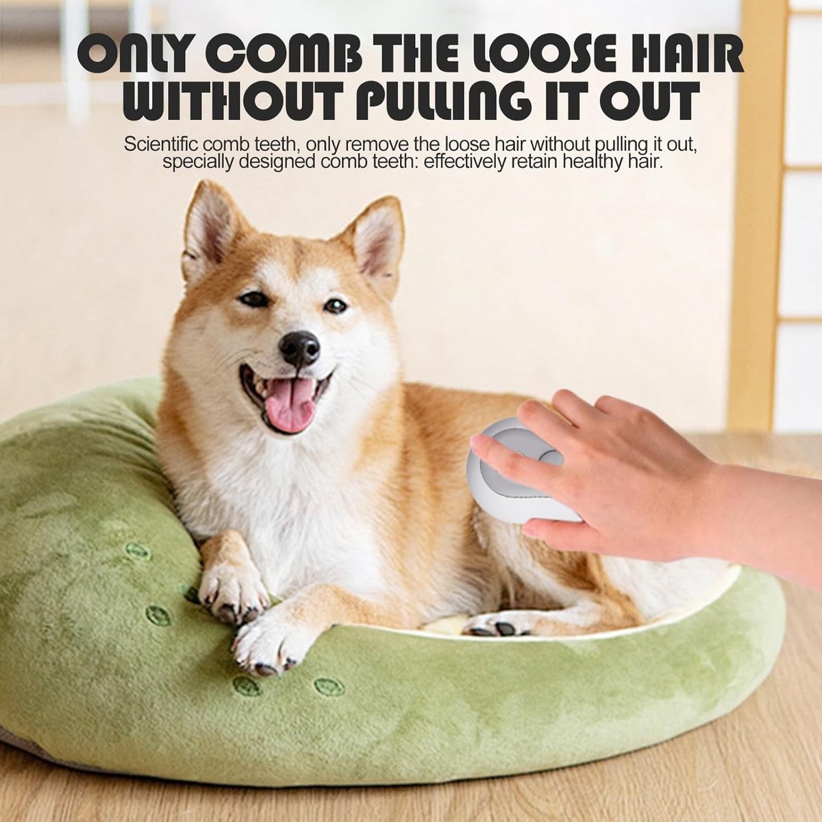 3-in-1 Pet Steam Brush | Dog & Cat