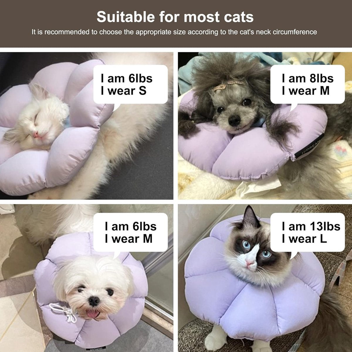 Cat Recovery Collar | Soft Protective Cone | Comfortable