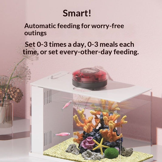Automatic Fish Feeder for Aquarium