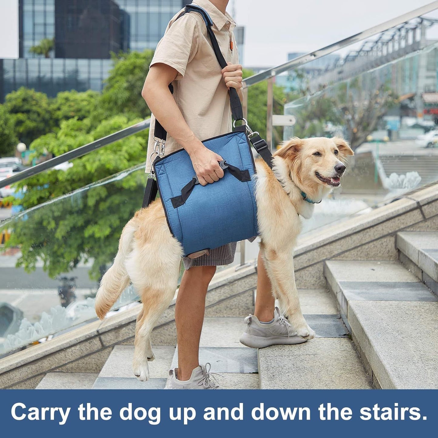 Dog Carry Sling & Lift Harness | L