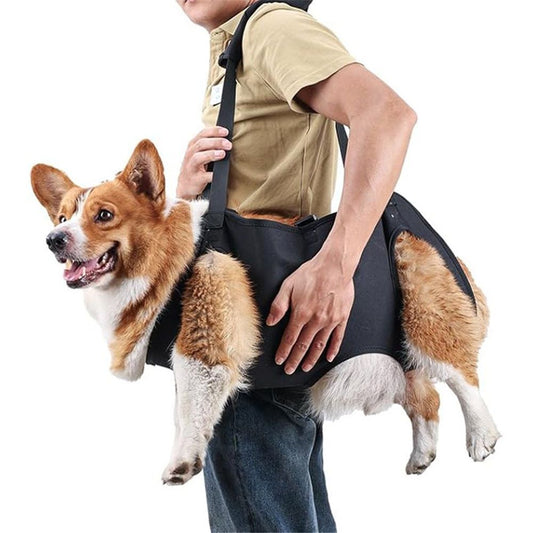 Dog Lift Harness | Rehabilitation Sling Carrier | S