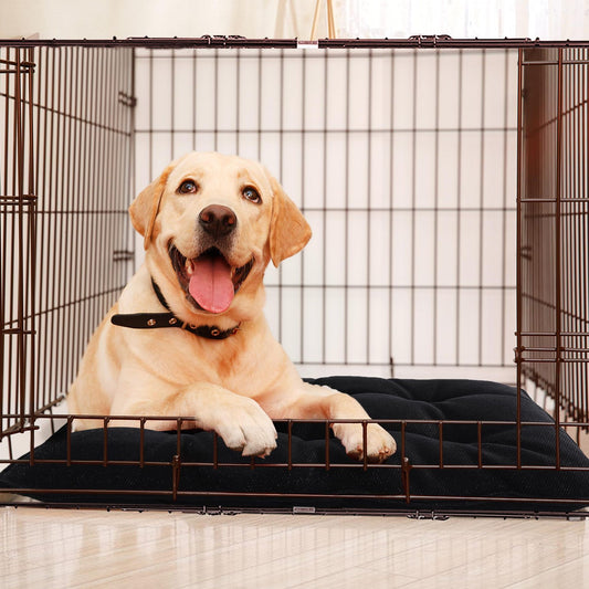 Chew Proof Indestructible Dog Beds for Aggressive Chewers