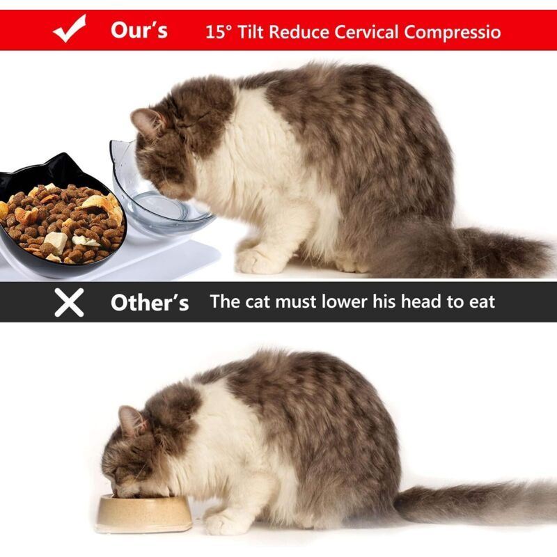 Double Raised Cat Bowl Set | 15° Tilt Elevated Stand | Anti-Slip