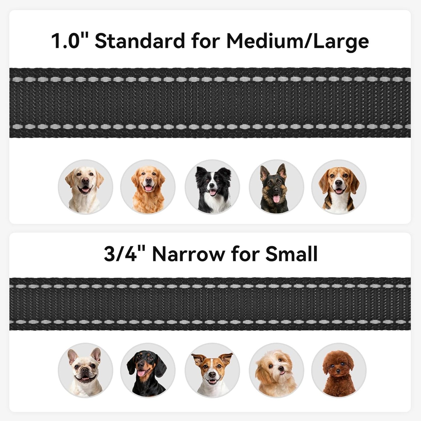 Reflective Dog Leash | 6FT Double-Sided Nylon | Padded Handle