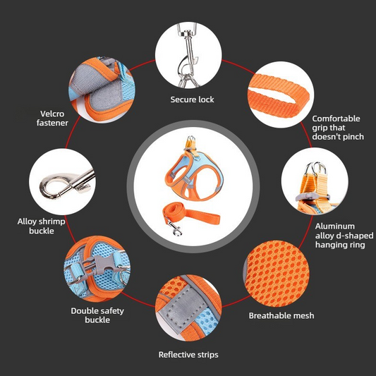 Breathable Reflective Pet Harness Set: Vest-Style Dog Harness + Leash | Blue-M (2)