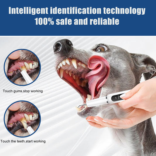 White Professional Pet Dental Cleaning Kit | Dog & Cat
