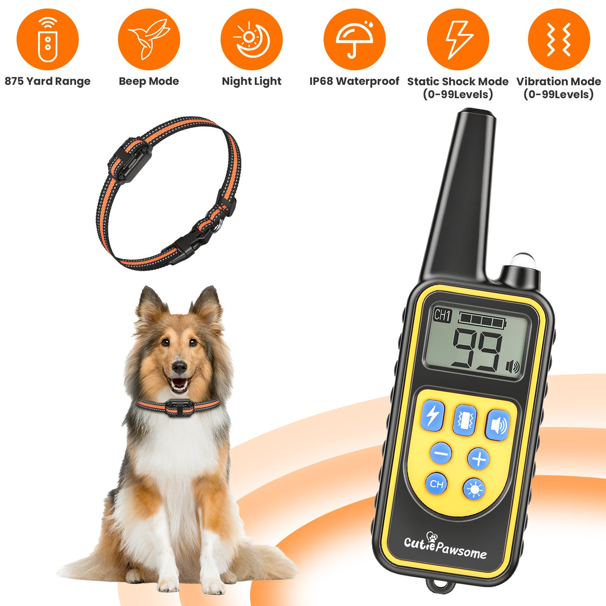 Dog Training Collar With Remote