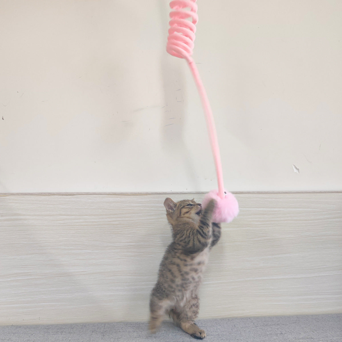 c0faa8d1986724edbdf7ac772a46a505