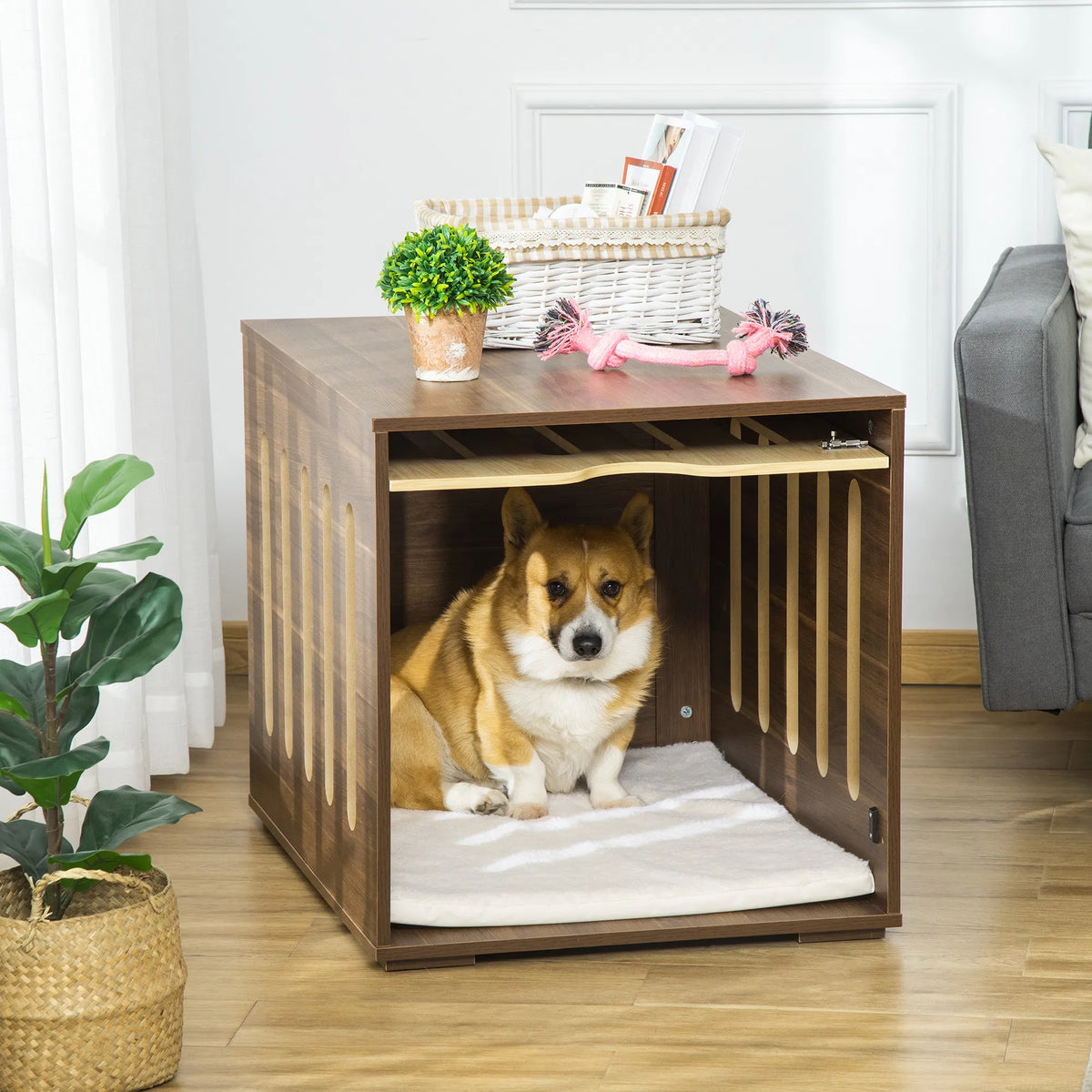 Dog Kennel