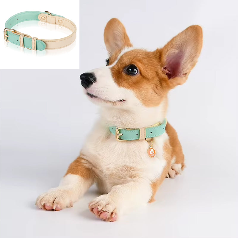 S M L Dog Collar