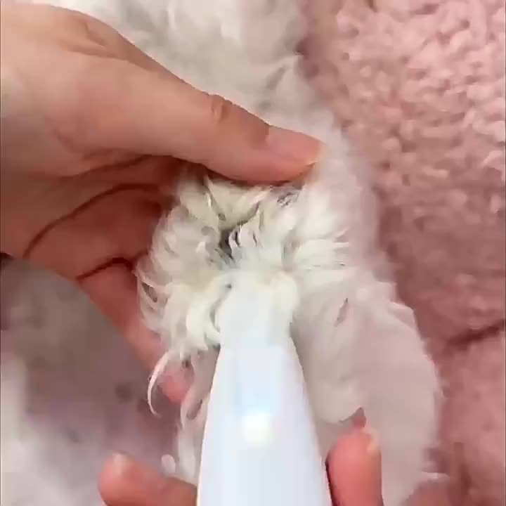 Pet Electric Paw & Foot Hair Clipper | Dog & Cat | Quiet Motor