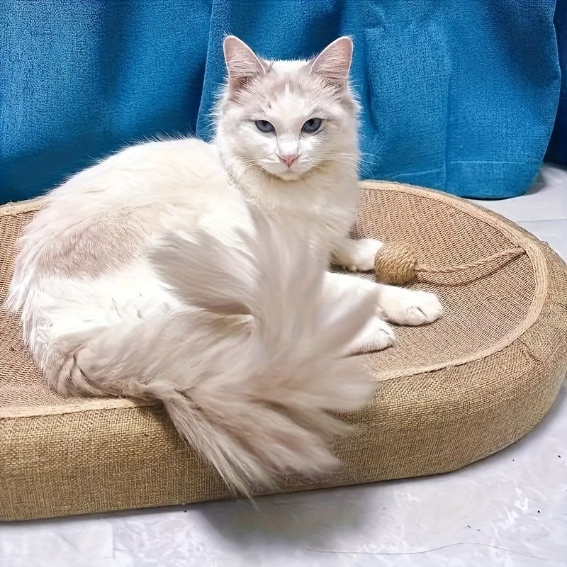 Cat Scratching Board with Built-in Litter Box | All-Season Claw Care