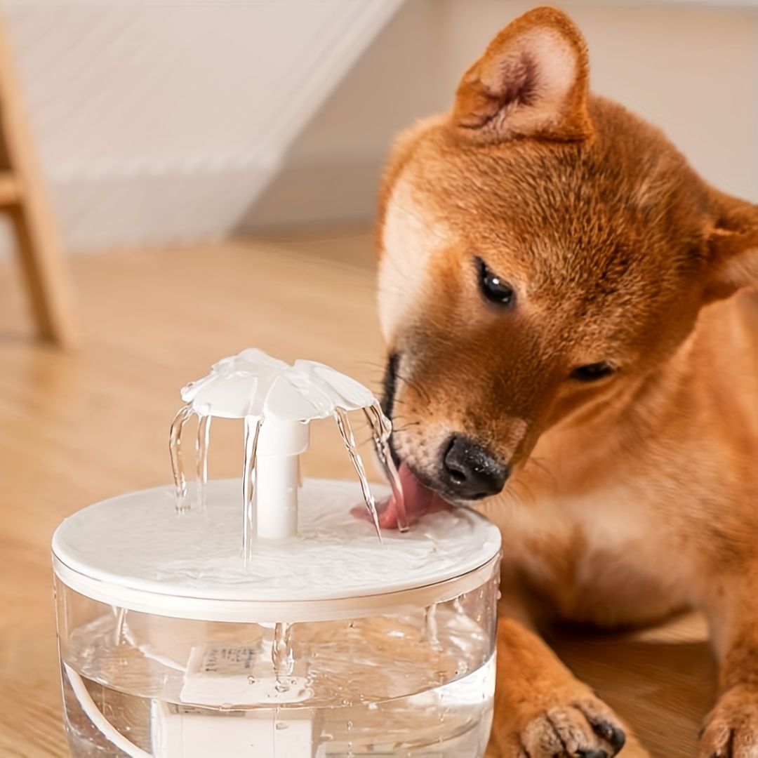 Large Capacity Cat Water Fountain