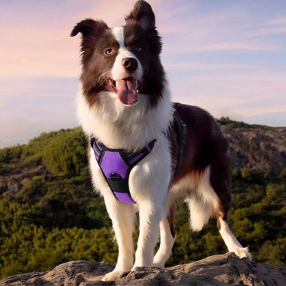 Anti-escape dog harness & leash | dogs. (3)