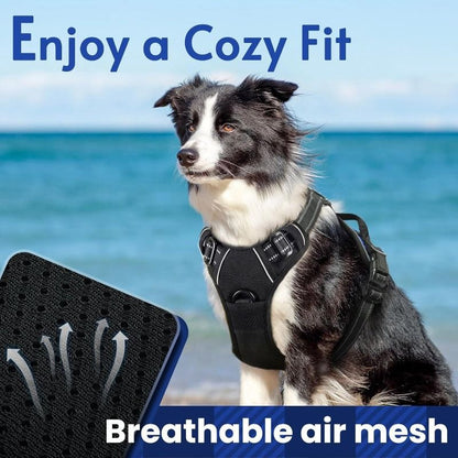 Anti-escape dog harness & leash | dogs. (2)