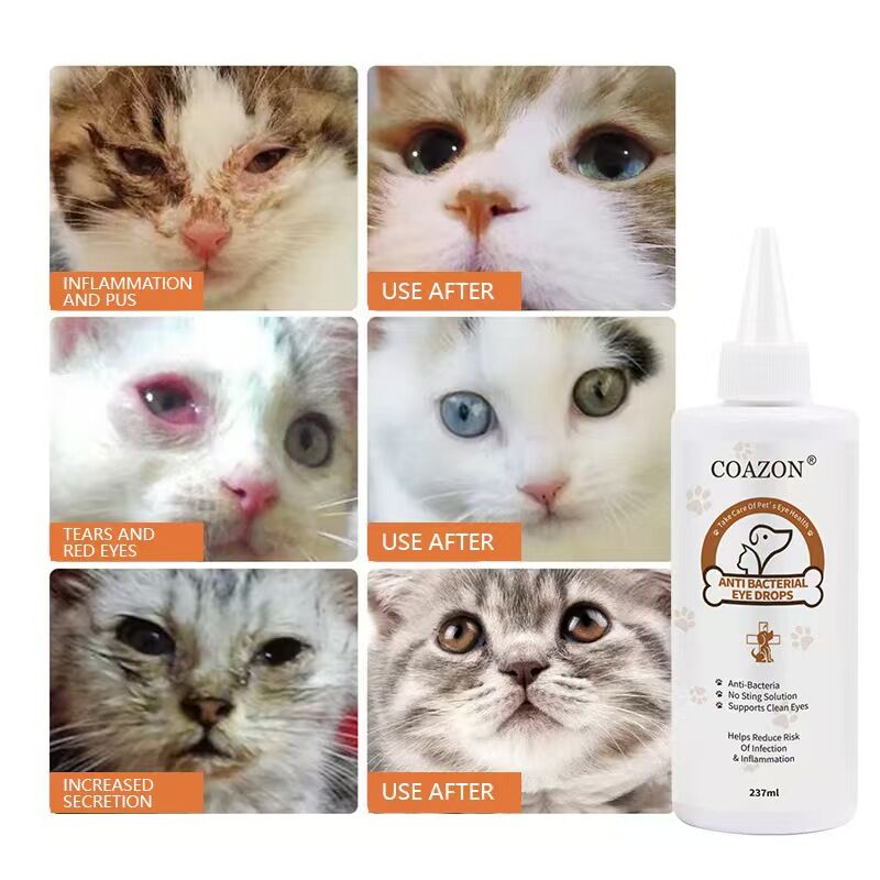 COAZON Eye Stain Remover for Dogs & Cats
