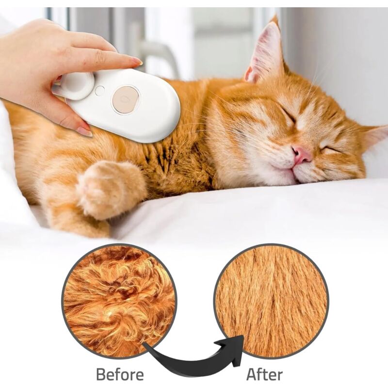 Electric Steam Brush for Dogs & Cats