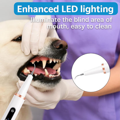 Electric Pet Dental Toothbrush | Dog & Cat