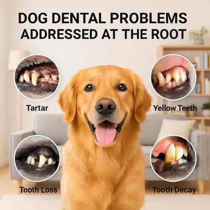 Electric Pet Dental Toothbrush | Dog & Cat