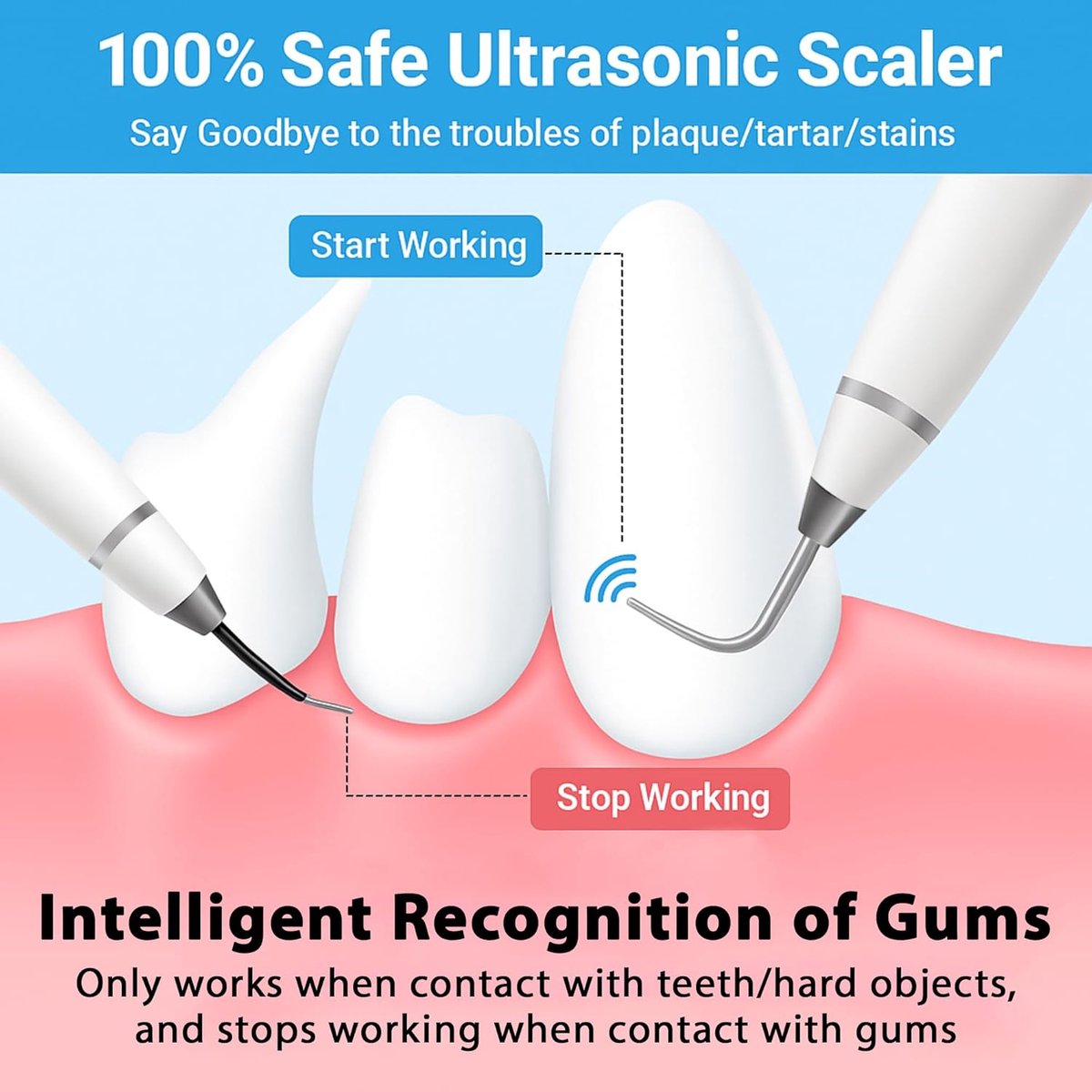 Electric Pet Dental Toothbrush | Dog & Cat