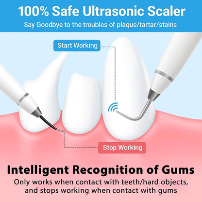 Electric Pet Dental Toothbrush | Dog & Cat
