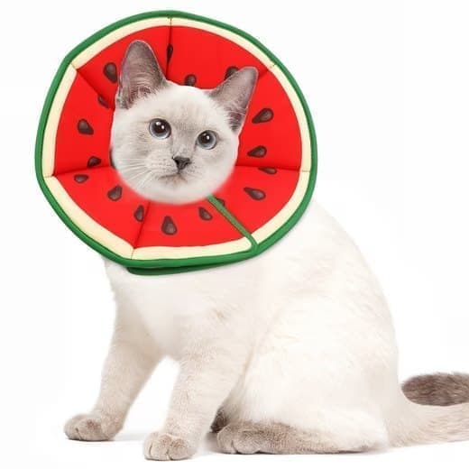 Red Soft Velcro Recovery Collar | Post-Surgery Protection | S