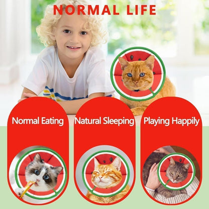 Red Soft Velcro Recovery Collar | Post-Surgery Protection | S