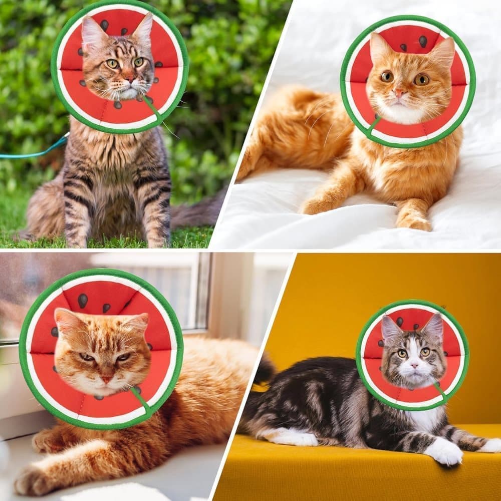 Red Soft Velcro Recovery Collar | Post-Surgery Protection | S
