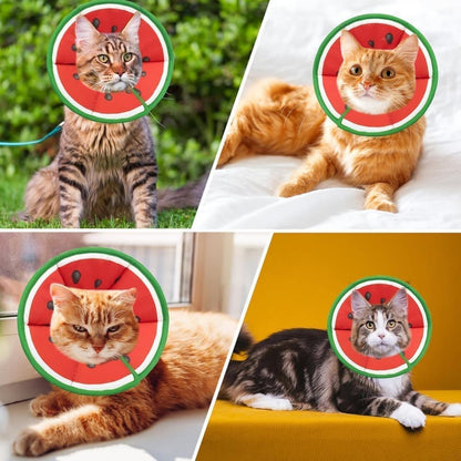 Red Soft Velcro Recovery Collar | Post-Surgery Protection | S