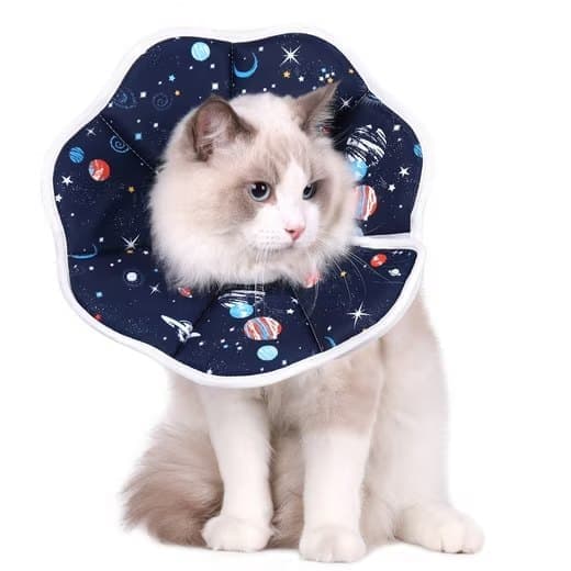 Blue Soft Velcro Recovery Collar | Post-Surgery Protection | S