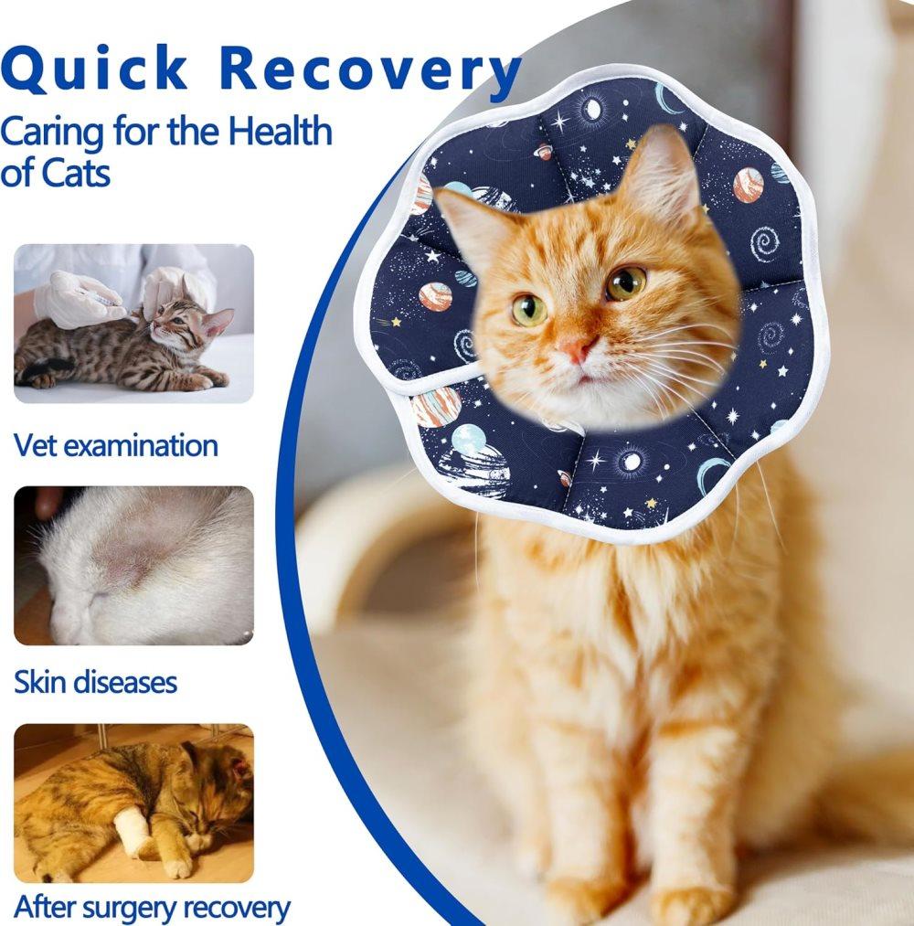 Blue Soft Velcro Recovery Collar | Post-Surgery Protection | S