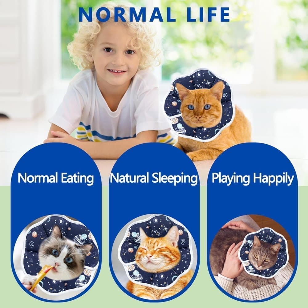 Blue Soft Velcro Recovery Collar | Post-Surgery Protection | S