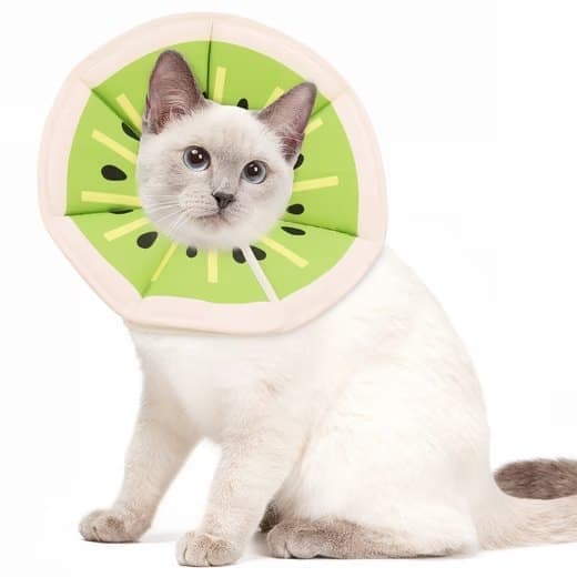 Green Adjustable Protective Recovery Collar with Velcro | Size M