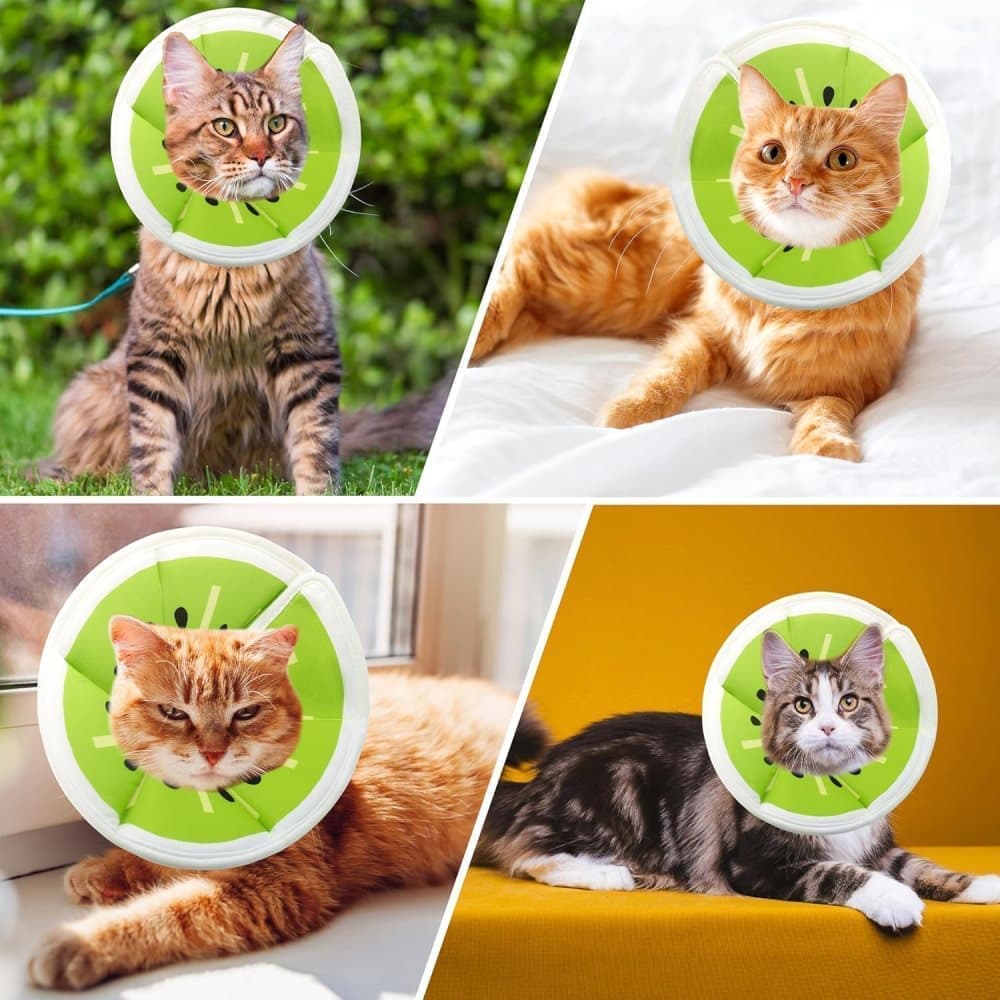 Green Adjustable Protective Recovery Collar with Velcro | Size M