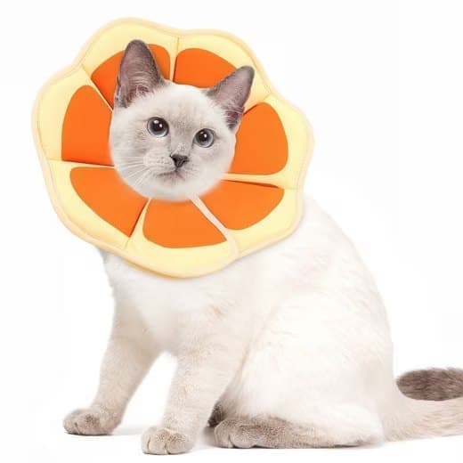 Orange Adjustable Protective Recovery Collar with Velcro | Size M