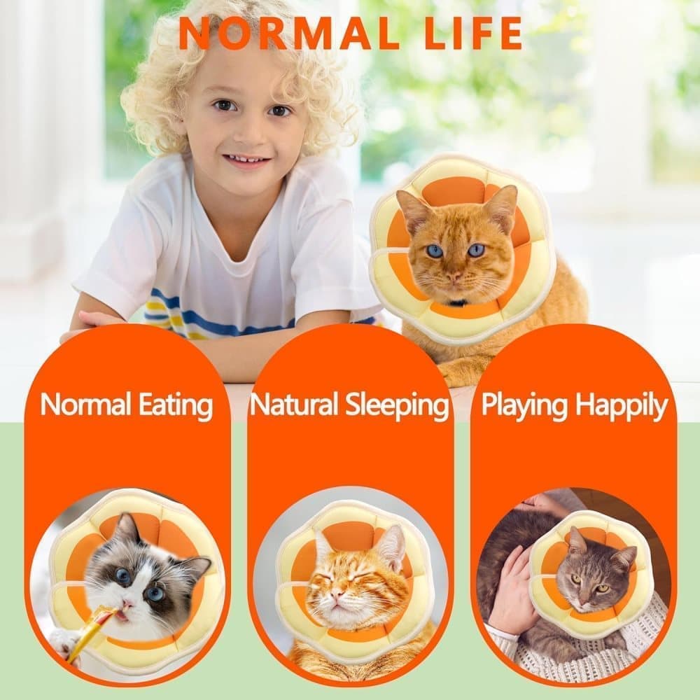 Orange Adjustable Protective Recovery Collar with Velcro | Size M