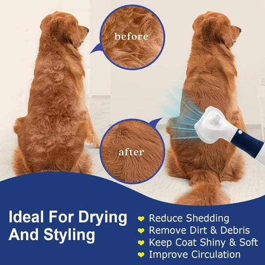 Grey 3-in-1 Pet Hair Dryer with Brush | Dog & Cat