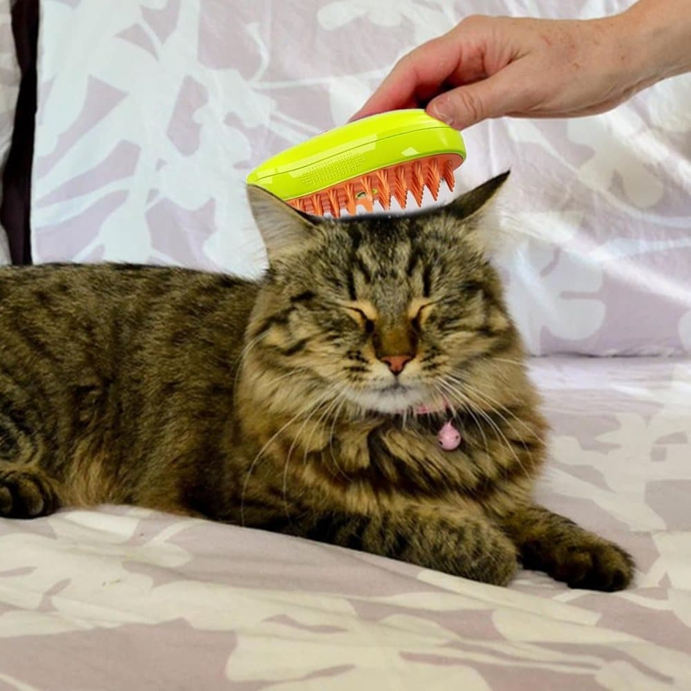Green Multifunctional Pet Steam Grooming Brush | Cats & Dogs
