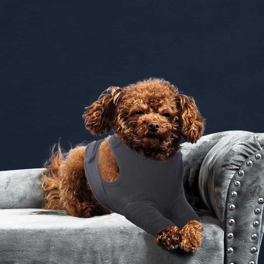 Dark Grey Dog Elbow Protector L