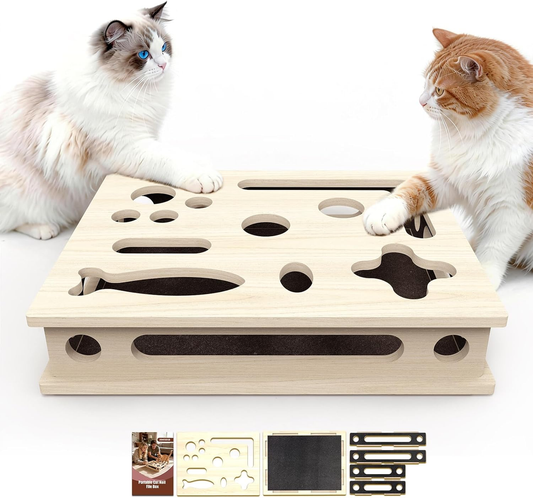 Multi-Functional Cat Claw Care Enrichment Box