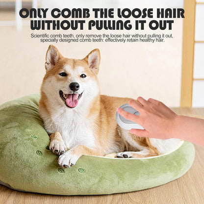 3-in-1 Pet Steam Brush | Dog & Cat
