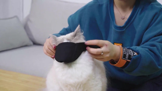 6-Pack Breathable Cat Muzzle | Size L | Nylon