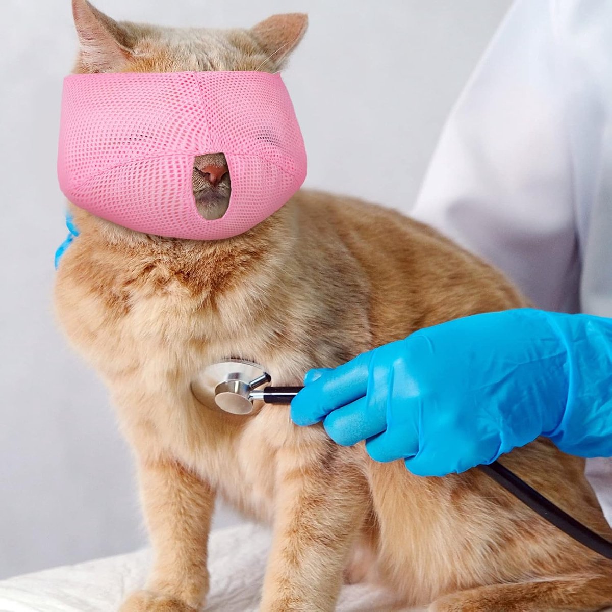6-Pack Breathable Cat Muzzle | Size L | Nylon