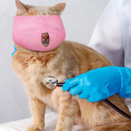 6-Pack Breathable Cat Muzzle | Size L | Nylon