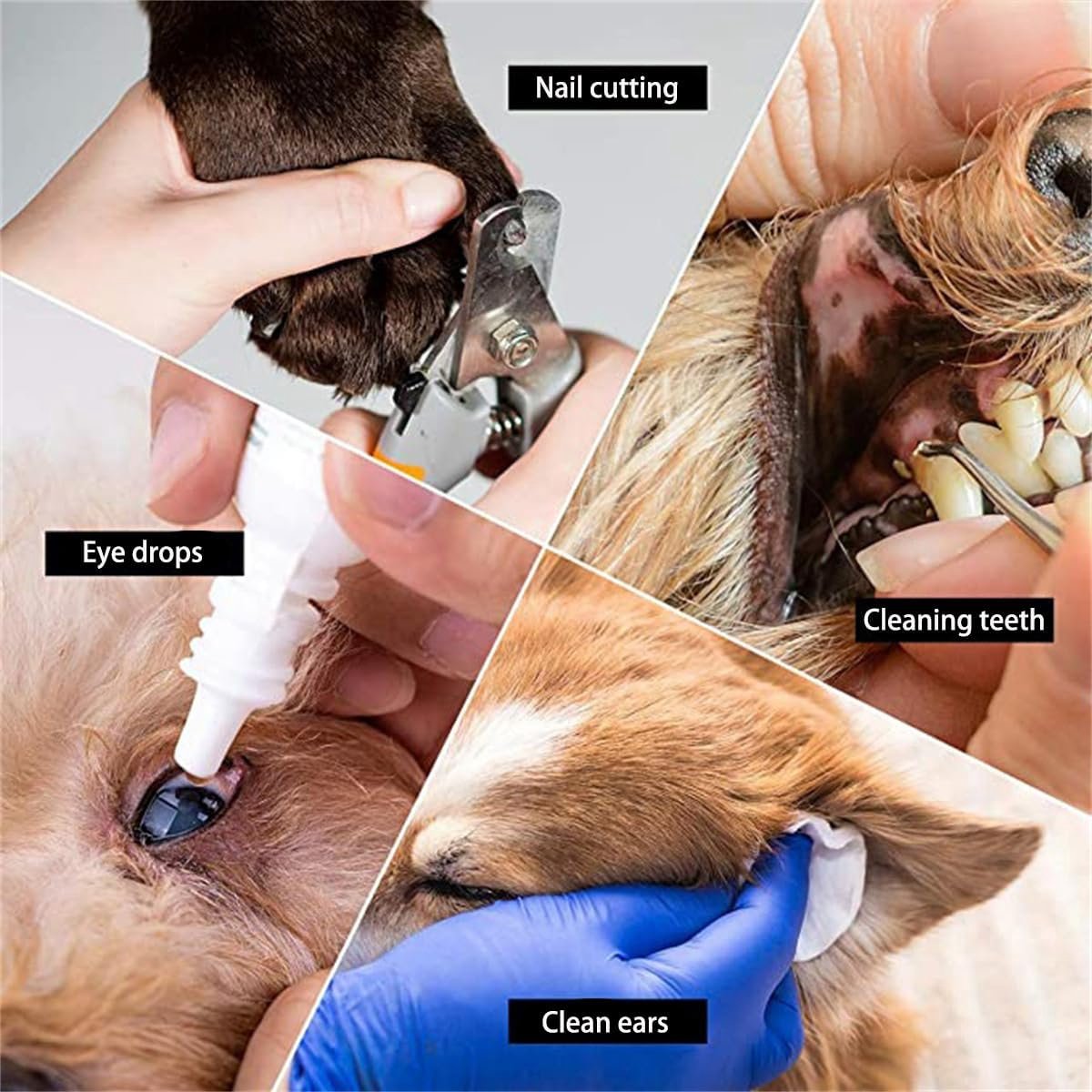 11-Piece Pet Grooming Hammock | Blue