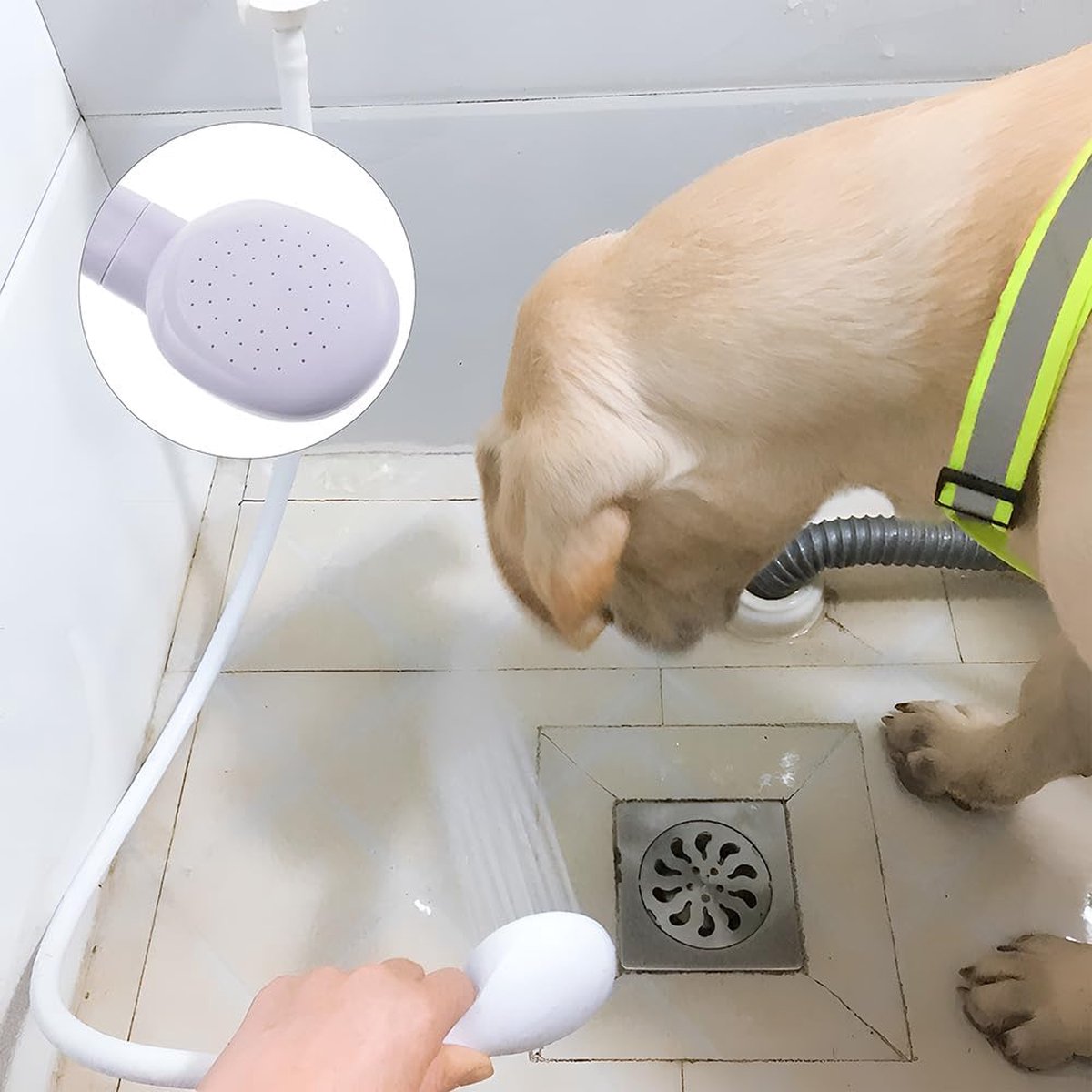 Pet Bath & Shower Set | Dog & Cat Shower Head & Sprayer | White